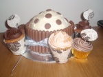 Giant Cupcake & Regular Cupcakes